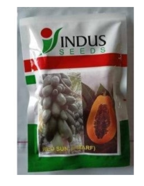 INDUS PAPAYA RED SUN DWARF F1 HYBRID SEEDS