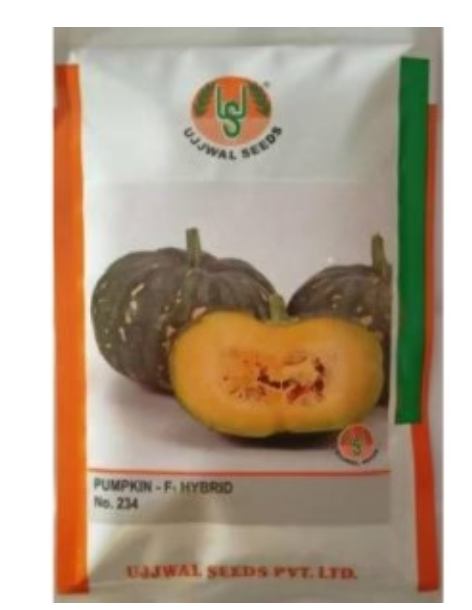 UJJWAL PUMPKIN US 234 F1 HYBRID SEEDS
