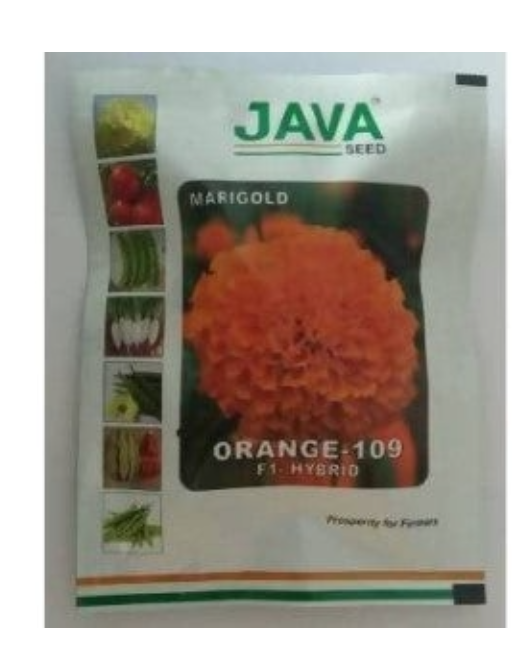 JAVA MARIGOLD ORANGE 109 F1 HYBRID SEEDS