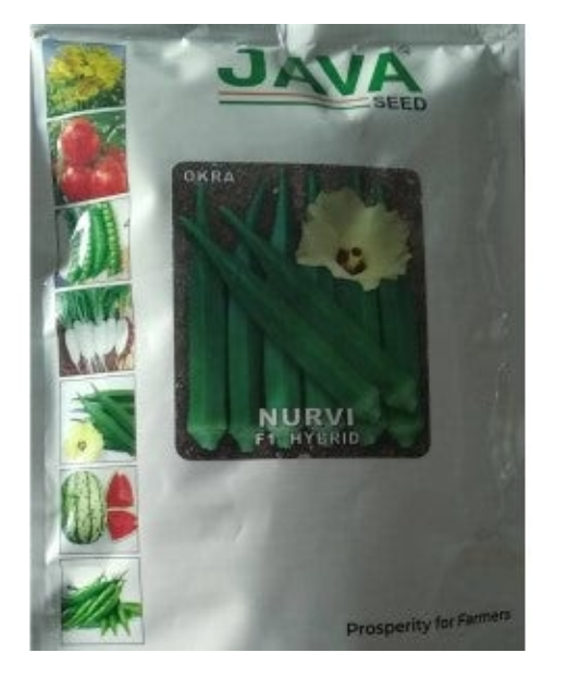 JAVA OKRA NURVI F1 HYBRID SEEDS
