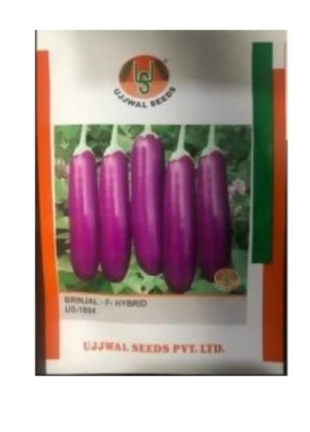 UJJWAL BRINJAL US 1004 F1 SEEDS