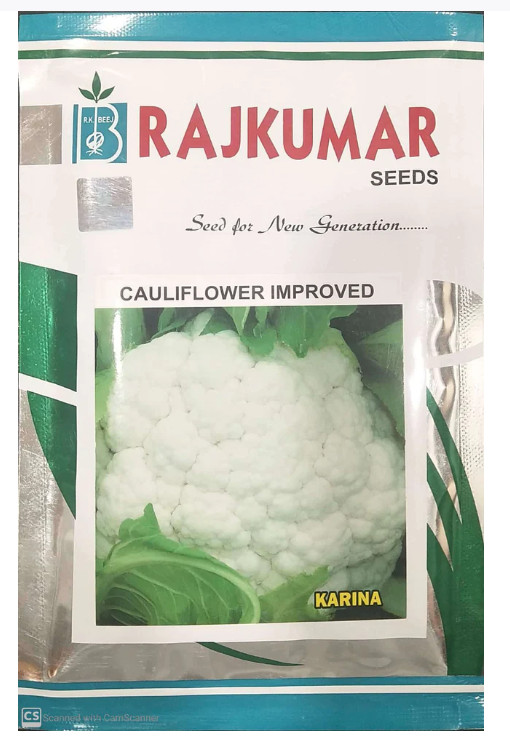 RAJKUMAR CAULIFLOWER KARINA IMPROVED SEEDS