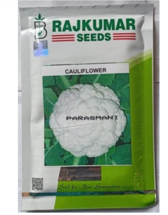 RAJKUMAR CAULIFLOWER PARASMANI SEEDS