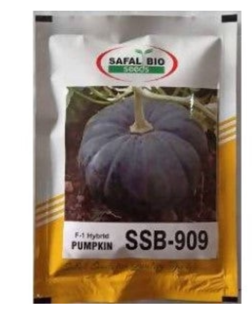 SAFAL BIO PUMPKIN SSB 909 F1 SEEDS