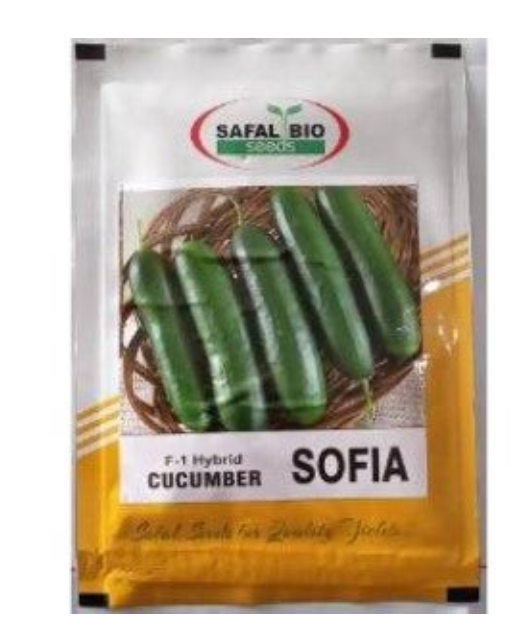 SAFAL BIO CUCUMBER SOFIA F1 SEEDS