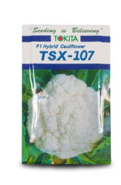 TSX-107 F1 హైబ్రిడ్ కాలీఫ్లవర్