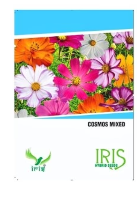 IRIS HYBRID FLOWER COSMOS MIX SEEDS