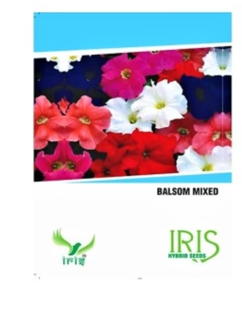 IRIS BALSAM MIX FLOWER SEEDS