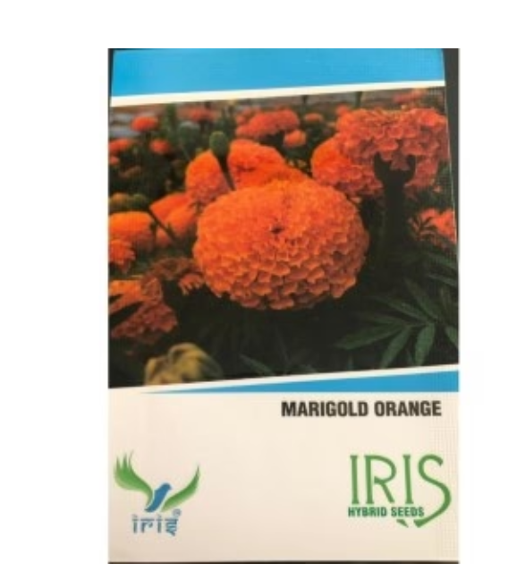 FLOWER SEEDS MARIGOLD ORANGE