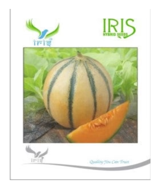 IRIS HYBRID MELON FRUIT SEEDS..