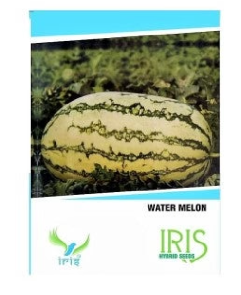 Iris Hybrid Watermelon Seeds