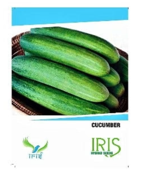 IRIS HYBRID CUCUMBER SEEDS VEGETABLE