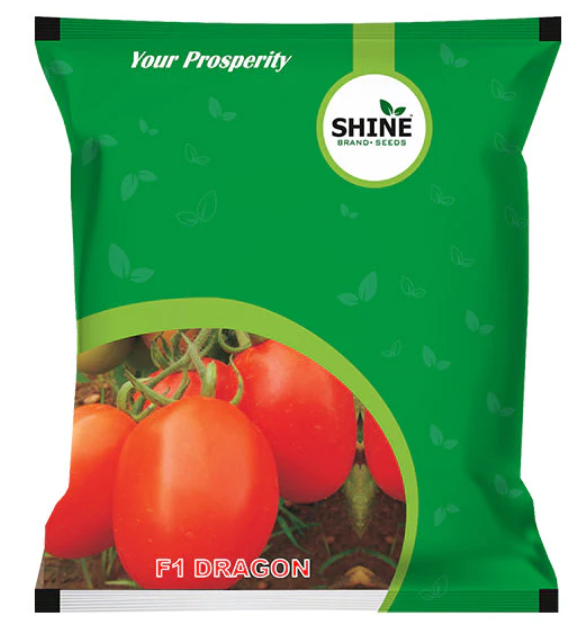 SHINE TOMATO DRAGON F1 HYBRID SEEDS