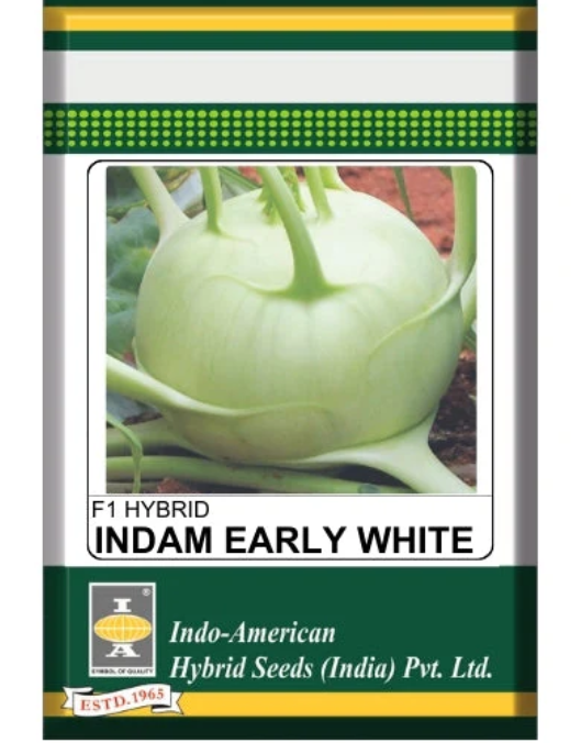 Indam Early White Knol Khol Seeds