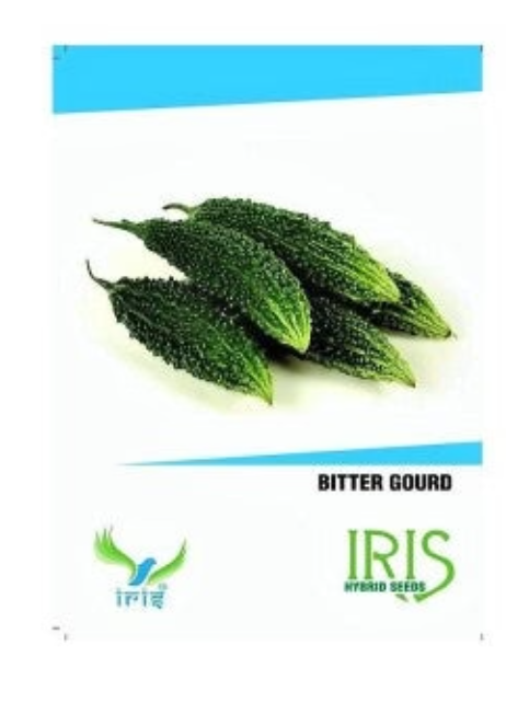 IRIS HYBRID VEGETABLE BITTER GOURD SEEDS