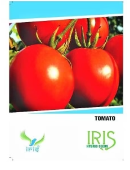 IRIS HYBRID VEGETABLE SEEDS TOMATO