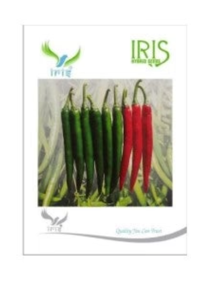 IRIS HYBRID VEGETABLE SEEDS GREEN CHILLI