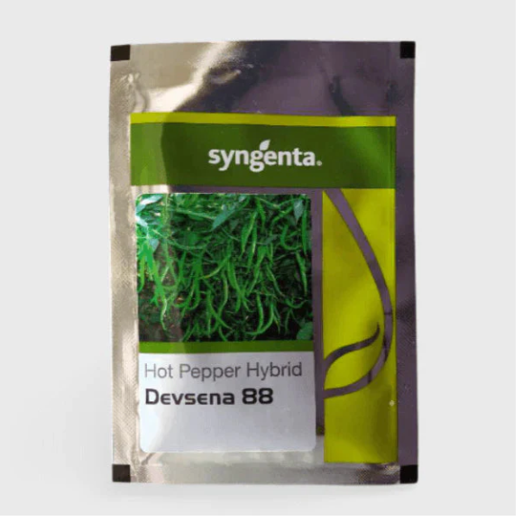 DEVSENA 88 CHILLI SEEDS
