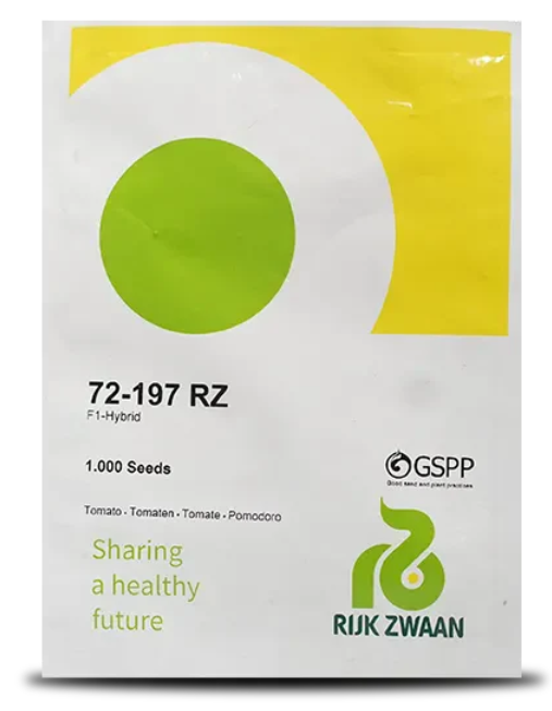 RZ F1 (72-197) TOMATO TOMATO (CHERRY TOMATO)