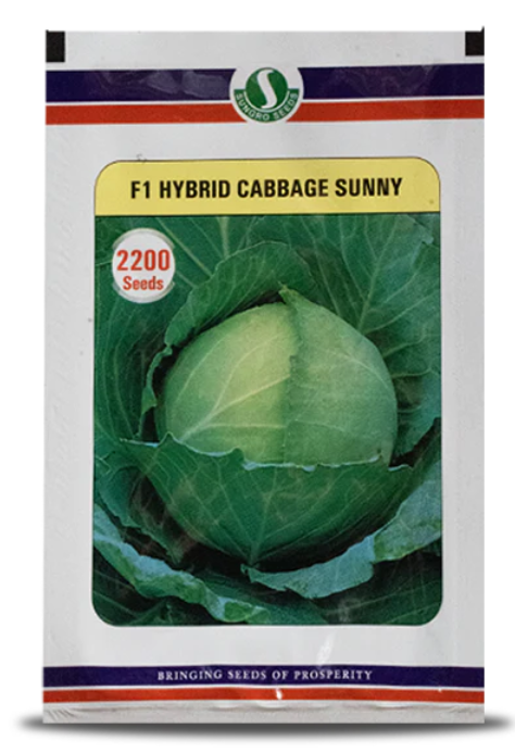 SUNNY CABBAGE
