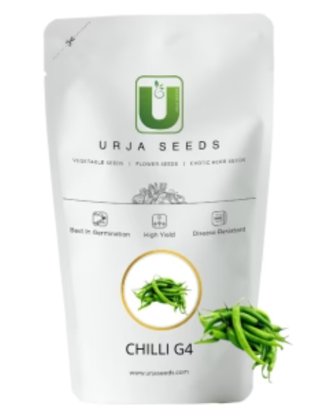 URJA CHILLI G4 (SMALL & ROUND)