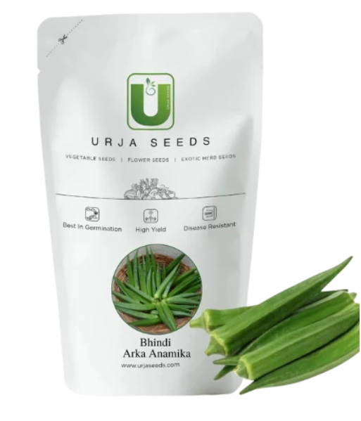 URJA BHINDI ARKA SEEDS