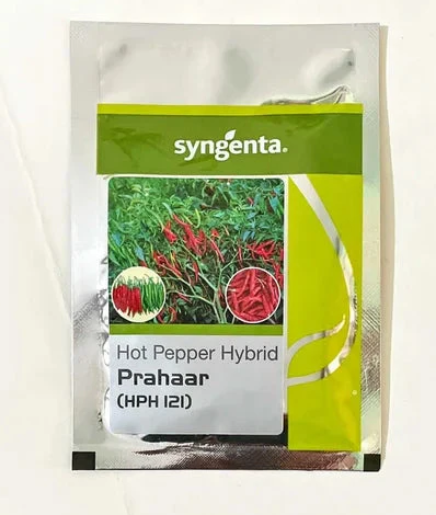 PRAHAAR (HPH 121) CHILLI SEEDS