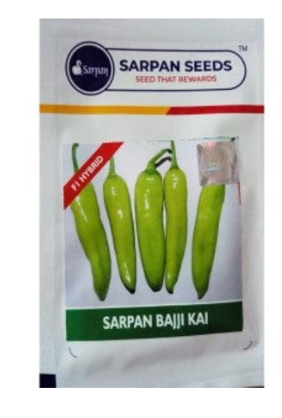 सर्पन मिर्च बज्जी काई बीज