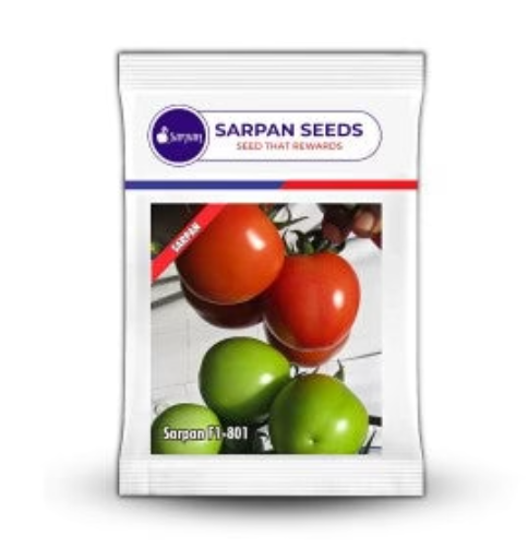 SARPAN TOMATO-801 SEEDS
