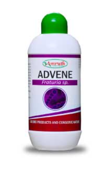 AMRUTH ADVEN (LIQUID BIOFERTILIZER FRATEURIA SP. )