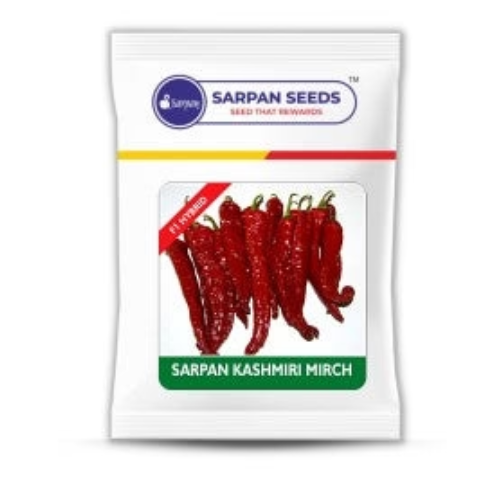 सर्पन कश्मीरी मिर्च के बीज