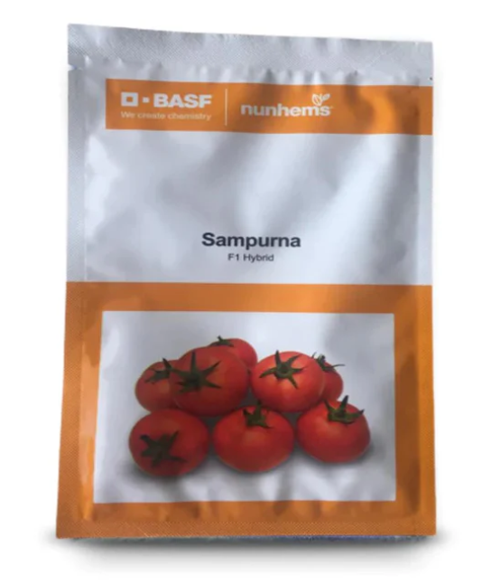 SAMPURNA TOMATO SEEDS