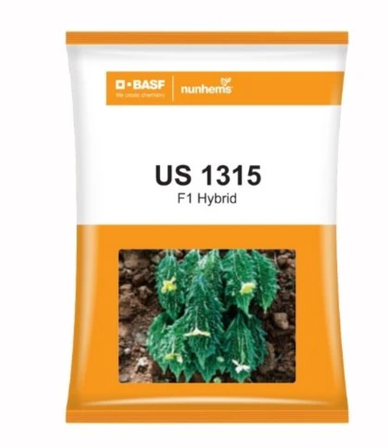 US 1315 Bitter Gourd Seeds – High-Yield Hybrid