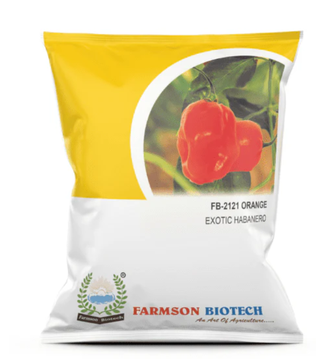 FARMSON (ORANGE HABANERO) F1 HYBRID CHILLI SEEDS (VERY HOT)