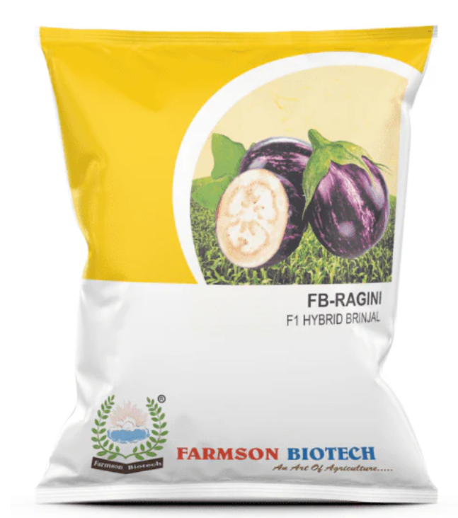 FARMSON RAGINI (4082) F1 HYBRID BRINJAL (EGG PLANT) SEEDS