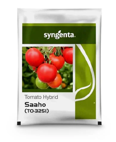 Saaho TO 3251 Tomato Seeds