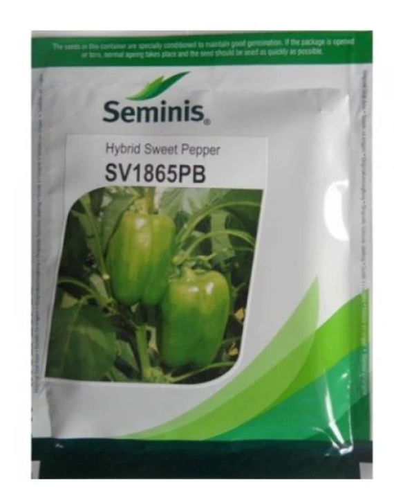 SEMINIS SV1865PB HYBRID GREEN CAPSICUM PEPPER | SEEDS