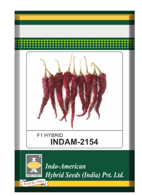 IAHS Chilli Indam 2154 Seeds