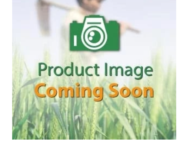ANKUR seed