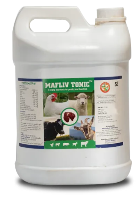 MAFLIV TONIC (LIVOR FORTE) - STRONG LIVER TONIC (LIQUID)