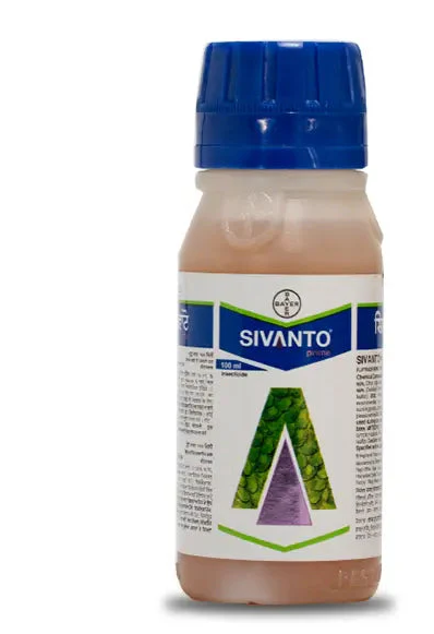 Sivanto Insecticide