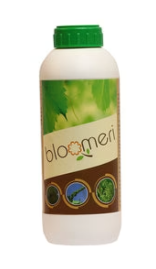 ANAND BLOOMERI - FOR FLOWERING