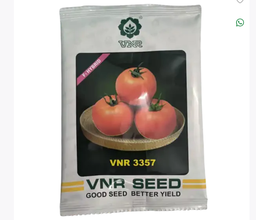 3357 F1 Hybrid Tomato Seeds