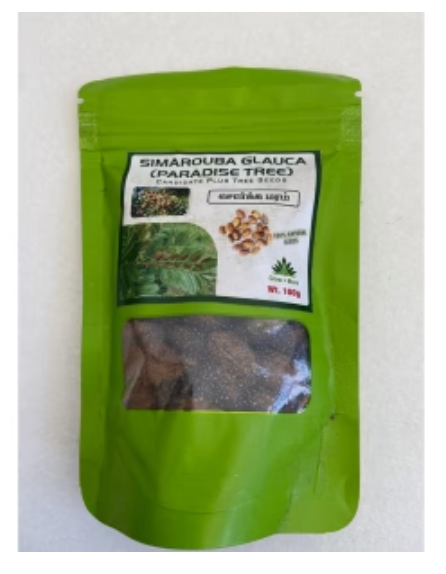PIONEER AGRO SIMAROUBA GLAUCA (PARADISE TREE) TREE SEEDS