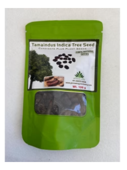 TAMARINDUS TREE SEEDS
