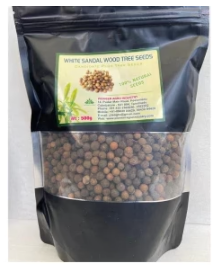PIONEER AGRO TESPOSIA POPULINA (POOVARASU SEED)