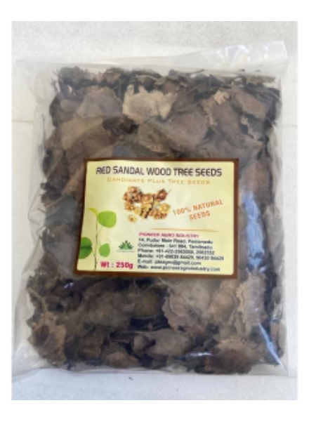 PIONEER RED SANDALWOOD SEEDS