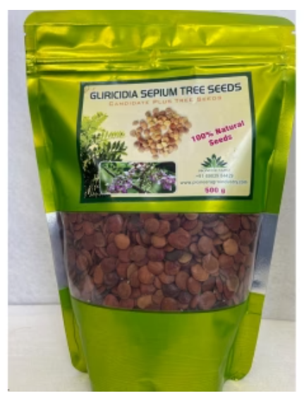 Gliricidia Sepium Tree Seeds: Fast-Growing Green Manure & Shade Tree