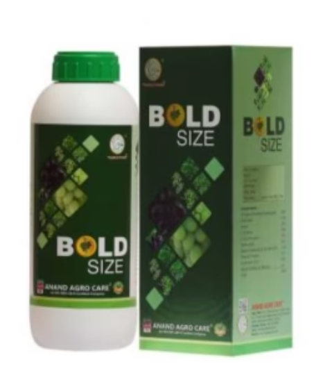 ANAND AGRO BOLD SIZE -