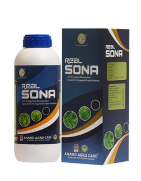 REAL SONA